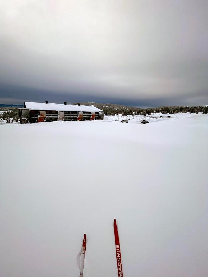 Lys Og Moderne Leilighet Rett Ved Skiloypa Pa Nordseter - Kort Vei Til Sjusjoen, Lillehammer Og Hafjell - Dyr Ikke Tillatt Zewnętrze zdjęcie